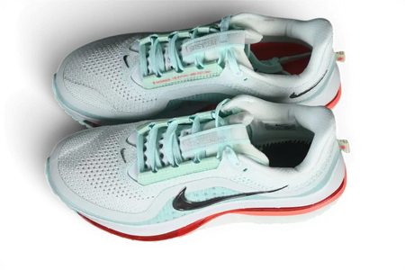 Nike Pegasus Premium Barely Green